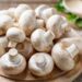MUSHROOMS recipes