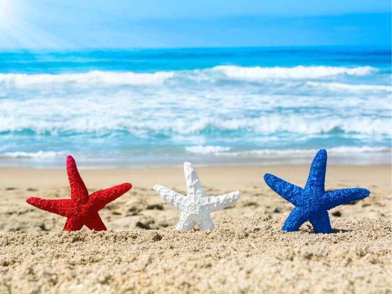 4TH JULY MENU